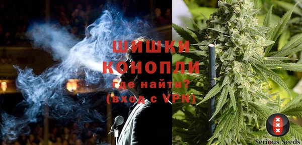 дмт Арсеньев